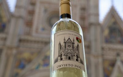 Orvieto Doc a 10 gradi, approvato il nuovo disciplinare. Primi vini sul mercato e progetto di ricerca per una denominazione più moderna e sostenibile